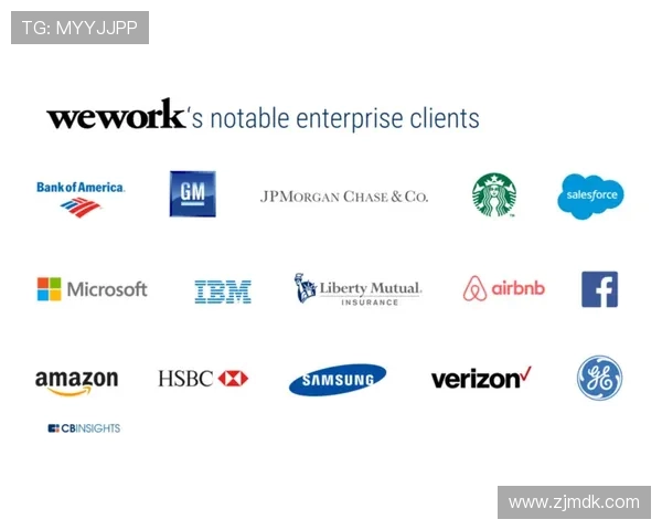 城市赛分析：WE战队战术执行力与团队配合的深度剖析