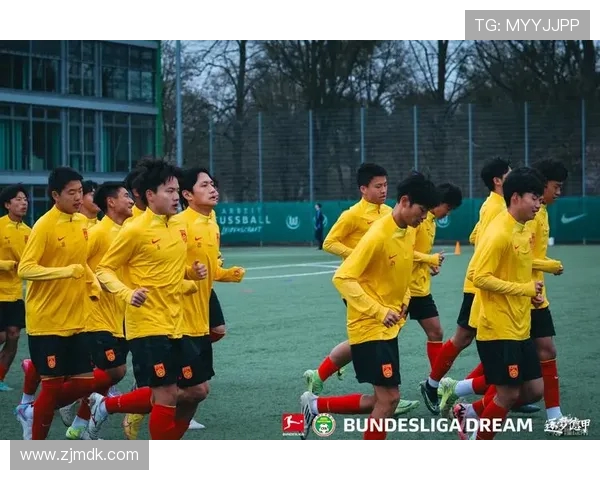 成都足球队实力揭秘：从青训到职业联赛的全景分析与展望